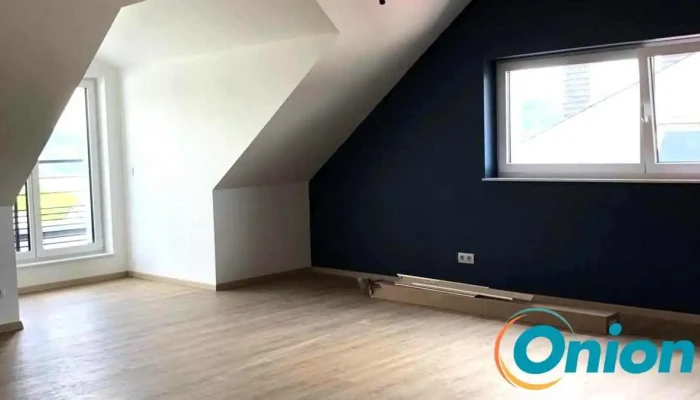 Transrenov Sarls -  Promotioune - Fels