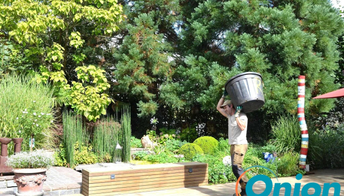Vereal Jardin Et Foret Garten - Bertrange