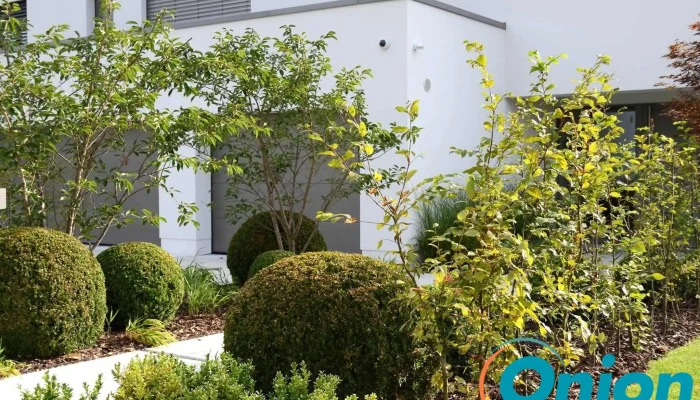 Vereal Jardin Et Foret Landschaftsgestaltung - Bertrange