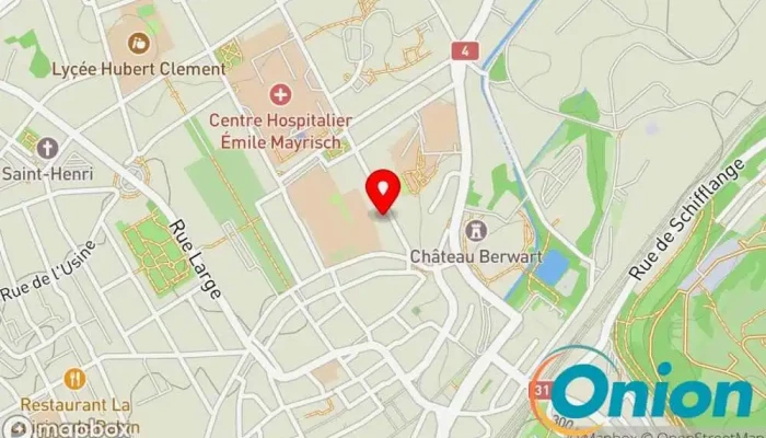 Kaart vun VibrantLux Computernetzwerk-Service zu Esch an der Alzette