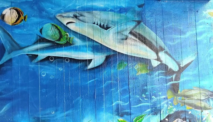 Wasserbillig Aquarium -  Instagram - Mertert