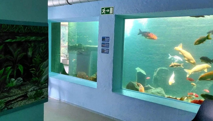 Wasserbillig Aquarium -  Telefon - Mertert