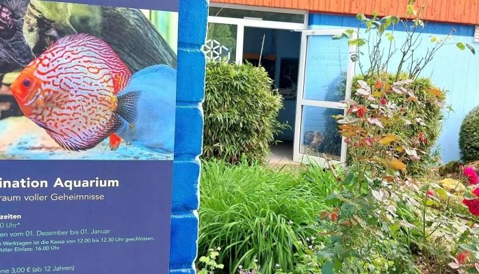 Wasserbillig Aquarium -  Videoen - Mertert