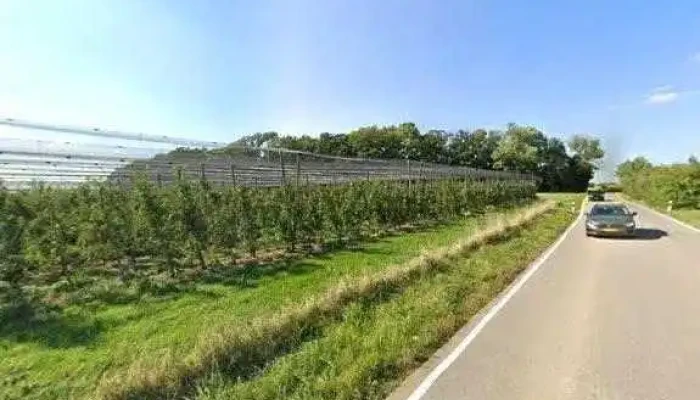 Winandy Pol Jardins -  Street View 360deg Fotos - Reckingen/mess